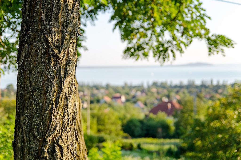 Hillside Apartments Révfülöp Eksteriør bilde